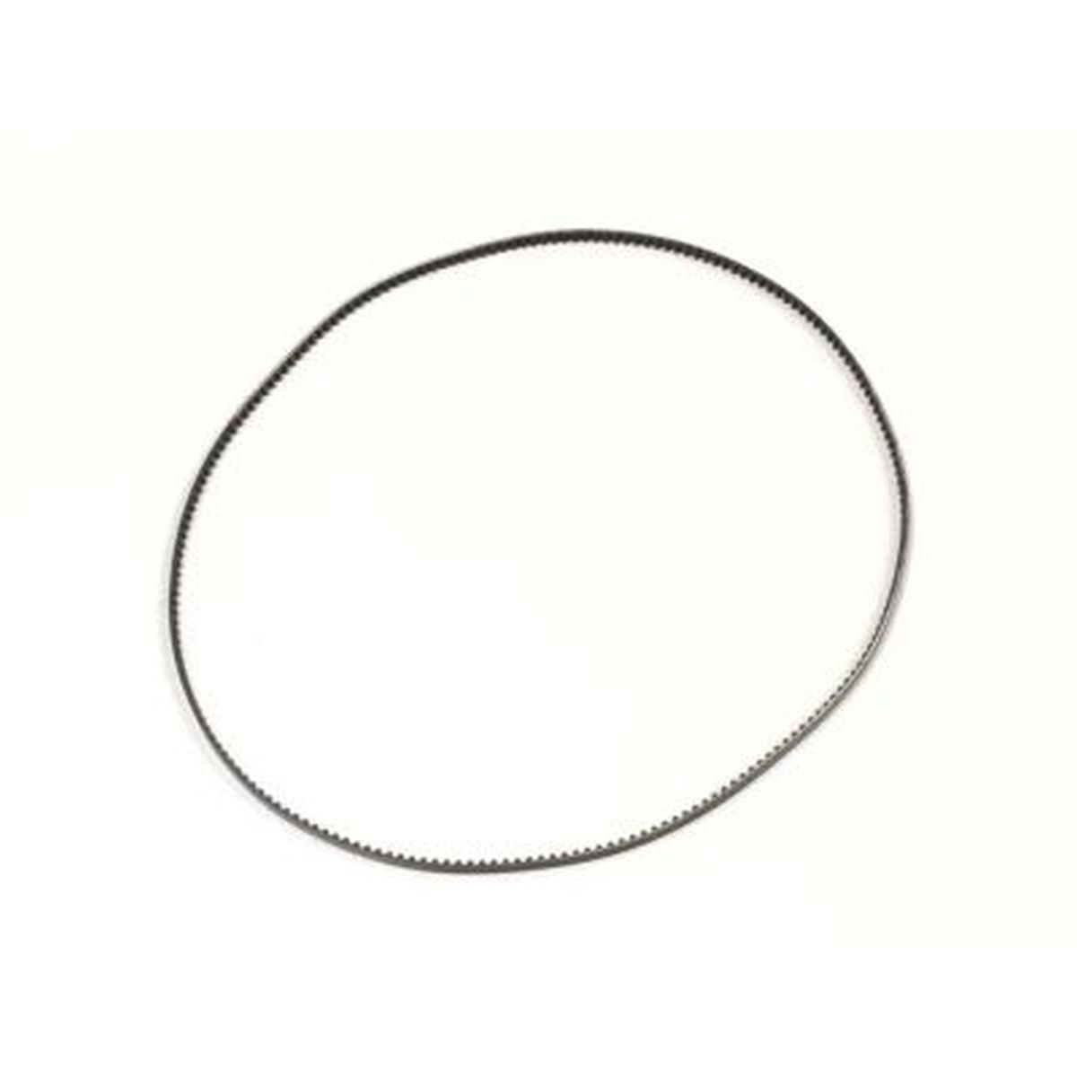 Belt (Optima)