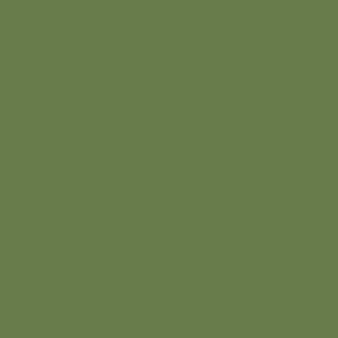Acrylic Model Paint 1 oz bottle, Hellgrun RLM 82