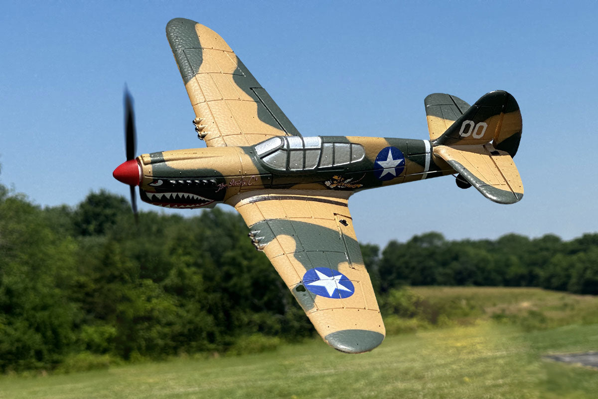 Curtiss P-40 Warhawk Micro RTF Airplane with PASS System