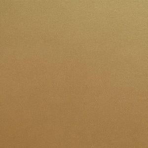 Acrylic Model Paint 1oz Bottle Brass