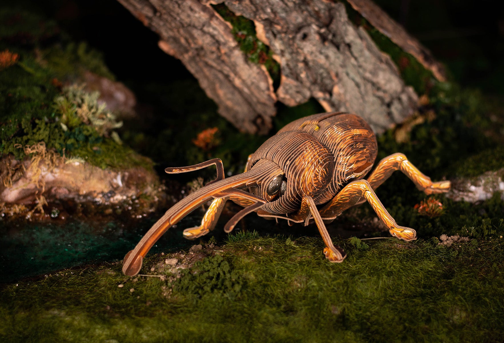 Weevil 3D Puzzle, Bring Nature Home
