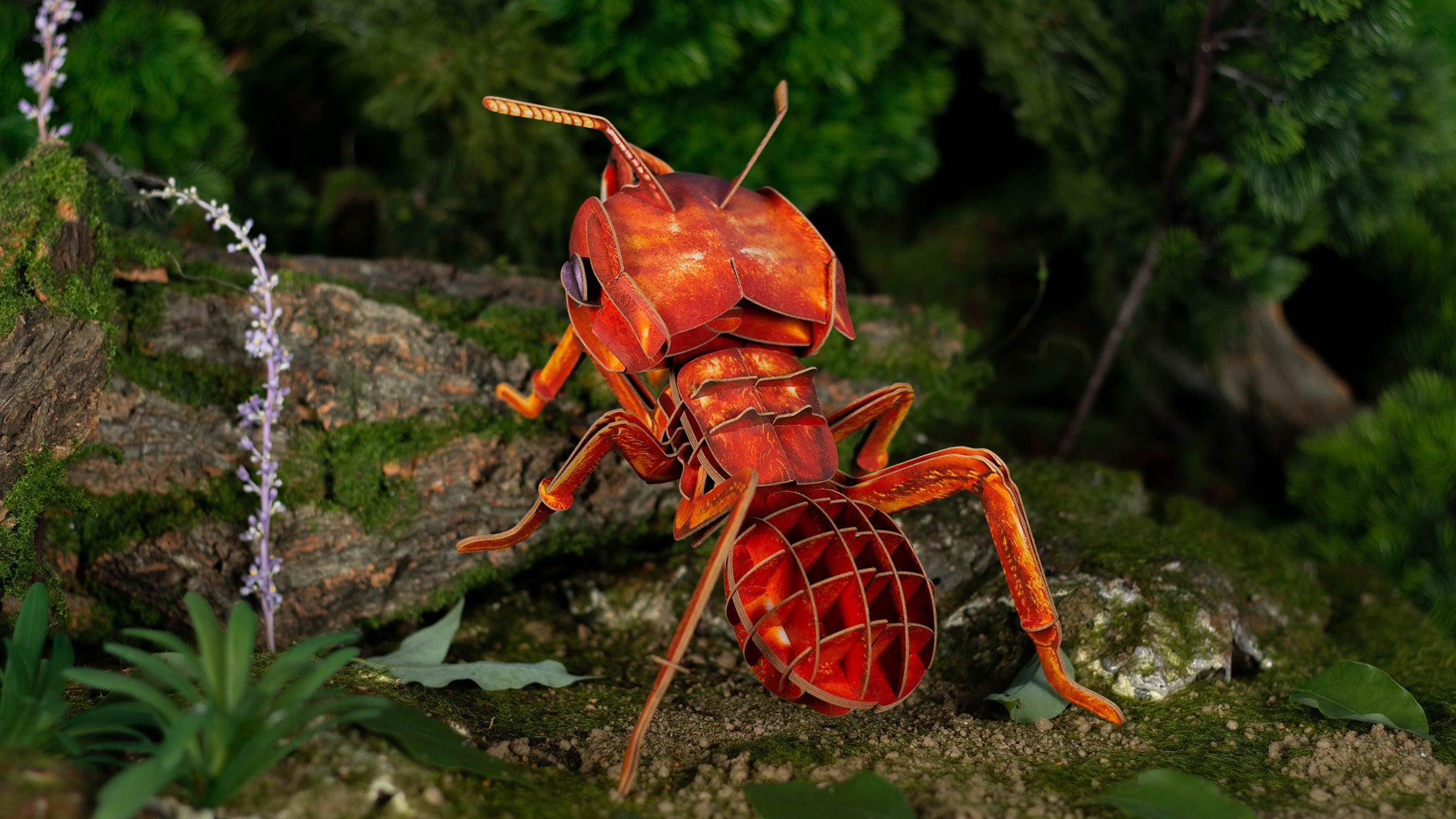 Leafcutting Ant 3D Puzzle, Bring Nature Home