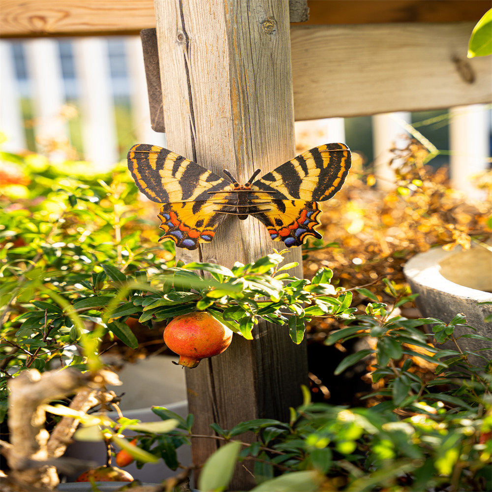 Luehdorfia Butterfly 3D Puzzle Bring Nature Home